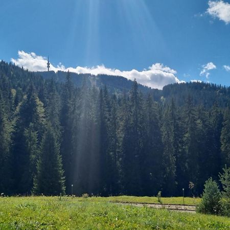 Elit Pamporovo Accommodation Exterior photo