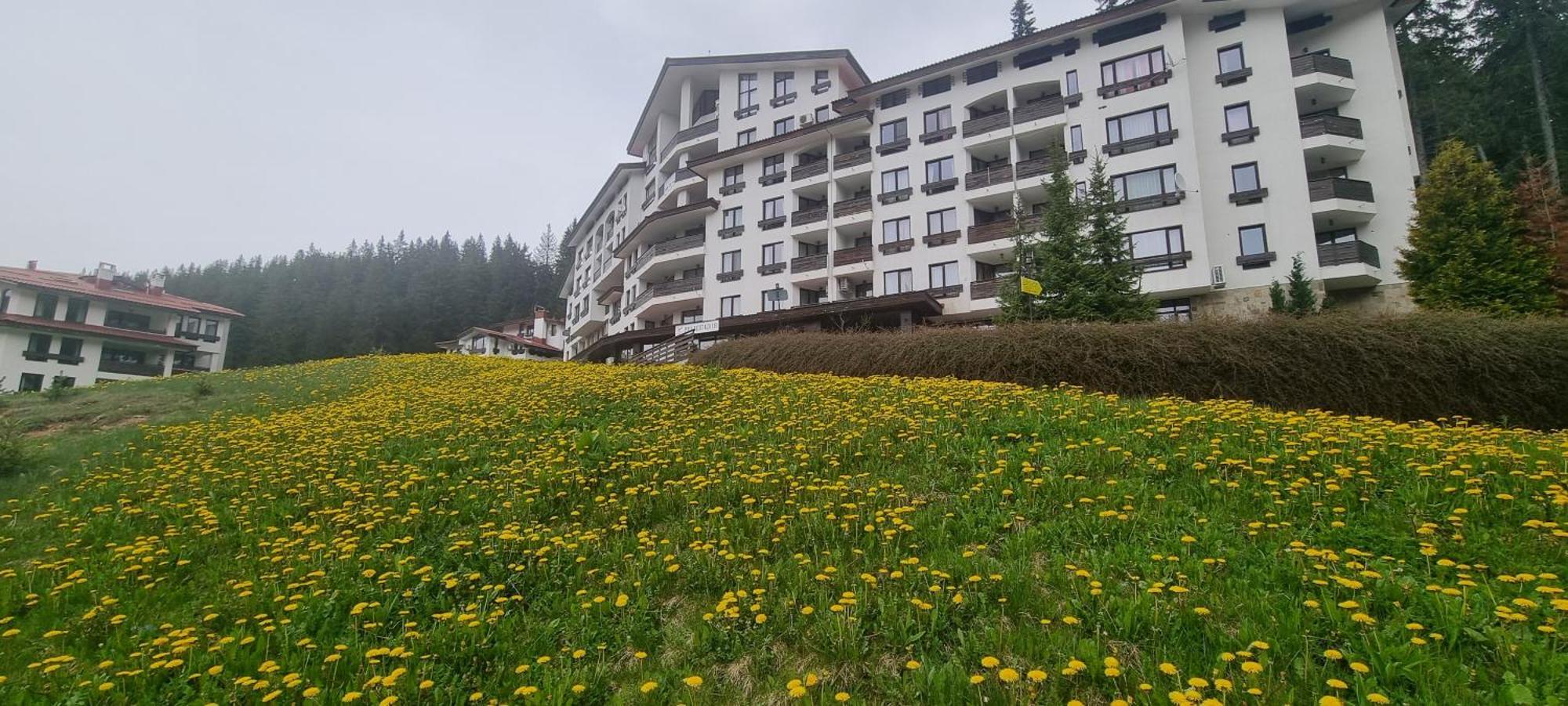 Elit Pamporovo Accommodation Exterior photo