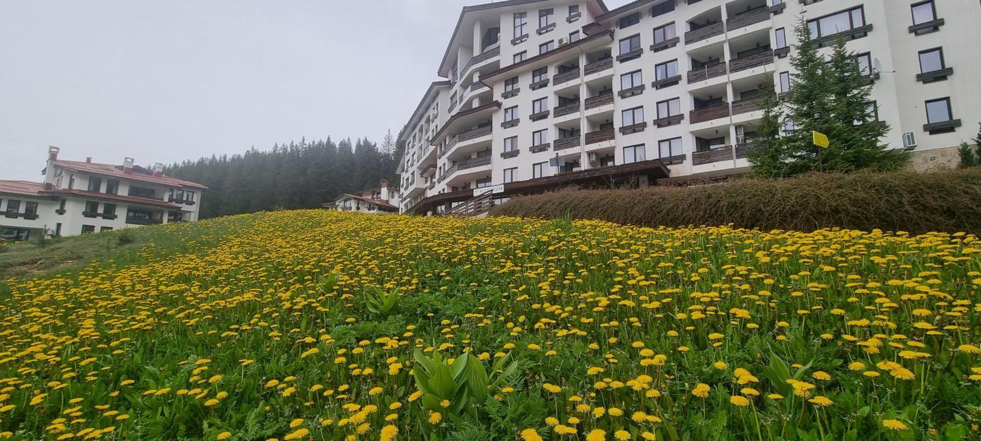 Elit Pamporovo Accommodation Exterior photo